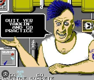 Skate or Die: Quit Yer Yakkin' And Go Practice